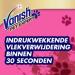 Vanish Pet Expert Spray 500 ml 1.50L (500ml x 3) Pink - Buy Online on SooperMarket.com