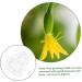 SUPVOX 9 pcs Gardening DIY Moldvegetable for Pear Shaped Multifunction Growing Accessories Mould - Buy Online on SooperMarket.com