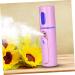 Healeved 2pcs LED Spray Device Lip Tint Facial Atomizing Beauty Instrument Cold Spray - Buy Online on SooperMarket.com