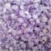 Natural Amethyst Raw Quartz Small Cluster Reiki Stone Crystal Point Specimen Home Decor Raw Crystals Beautiful Crystal Cluster (Size : 60g) - Buy Online on SooperMarket.com