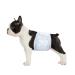 24 Pack S Disposable Dog Diapers for Male Dogs Dog Diapers for Male Dogs Fits Waist 30-48cm Small White S