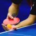 Sportout Ping Pong Paddle - Professional Table Tennis Racket with Case | For Advanced Training and Tournament Play - Buy Online on SooperMarket.com