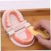 Shop Minkissy 3 Sets Early Education Tooth Toys for Toddlers - Montessori Standard Reusable Kids' Dental Learning Toys - Buy Online on SooperMarket.com