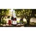 Martinelli's Sparkling Red Grape Juice 8.4 oz. - Pack of 12 Bottles | Non-Alcoholic Beverage - Buy Online on SooperMarket.com