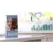Tints Of Nature Organic Hair Color - Dark Blond 6N, 4.4 Fl Oz | Natural Hair Dye - Buy Online on SooperMarket.com