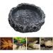 hisunfarm 2 Pcs Reptile Pets Water Dish Worm Rock Bowl Feeder with Feeding Clip for Turtle Gecko Lizard Spider Scorpion Chameleon Small - Buy Online on SooperMarket.com