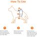 Amazon Basics Disposable Dog Diapers for Male Dogs - Small (30-Pack) | Premium Absorbency & Comfort - Buy Online on SooperMarket.com