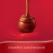 Buy Lindt Lindor Deluxe Box | 1350g | 108 Chocolates | Milk Dark Hazelnut White Pistachio | Perfect Praline Gift | International Shipping Available - Buy Online on SooperMarket.com