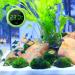 Digital Aquarium Thermometer - Mini LCD Waterproof Temperature Meter for Aquariums Reptiles & Terrariums - Buy Online on SooperMarket.com