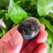 Specimen Healed 20g-30g Mini Size Natural Quartz Crystal Stone for Home Decoration 4pc As a Gift FZUGEDRLI - Buy Online on SooperMarket.com