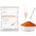 JUNNOTI 60G Aquarium Hatching Fish Food Artemia Shelling Eggs Brine Shrimp Shelling Eggfood for Feeding Baby Fishes - Buy Online on SooperMarket.com