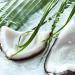 Yves Rocher Coconut Sensual Liquid Hand Wash Gel - 190 ml | Buy Internationally - Best Prices & Fast Shipping - Buy Online on SooperMarket.com
