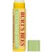 Burt's Bees 100% Natural Moisturizing Lip Balm Cucumber Mint - 2 Tubes - Buy Online on SooperMarket.com