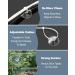 Jetop 50 Pack Suction Cup Aquarium Set & 100 Adjustable Zipper Cables - Perfect for Holding Airline Tubing Reptile Hammocks Decorations & Shrimp Nest Binding - Buy Online on SooperMarket.com