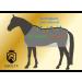 Equilyx Sweat Ceiling Horse Blanket | Perfect Fit Fleece | Moisture Absorbing Breathable Warming Transport Blanket (Black 145) - Buy Online on SooperMarket.com