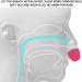 Anti Snoring Nose Vents Plugs for Comfortable Sleep - LF-01 Red - Buy Online on SooperMarket.com