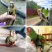 Vreplrse Adjustable Bird Flight Dishes & Easy-to-Wear Parrot Leash - Perfect Gift for Parrot Owners | International Shipping - Buy Online on SooperMarket.com