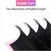 VEYES Classic Individual Lash Extensions 0.03-0.20 C/CC/D Curl 8-20mm Mixed & Single Length Volume Eyelashes Tray Matte Black Professional Supplies for Lash Techs (0.03 C 16mm) - Buy Online on SooperMarket.com