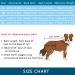 Newsbirds Dog Surgery Recovery Suit for Small Dogs - XL Blue | Post-Op Puppy Wound Protection - Buy Online on SooperMarket.com