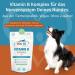 Dog Fit by Prethis - Vegan B Vitamin Complex for Dogs | Nerve Strengthening Incontinence & Nervousness Support | Large Animals (25kg+) - Buy Online on SooperMarket.com