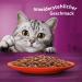 Whiskas 1+ Classic Selection in Sauce - 84x85g High-Quality Wet Food for Adult Cats - Large Pack - Buy Online on SooperMarket.com