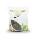 Organic Pumpkin Seeds (European) 500g