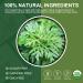 Organic Mugwort Tea Bags - Improve Sleep and Digestion - Caffeine Free - 30 Count - Buy Online on SooperMarket.com