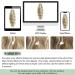 MORICHY Highlights Ponytail Extension 18inch Claw Clips in Ponytail Hair Extension for Women Mix Blonde Curly Hair Synthetic Pony Tail Hairpiece for Women Daily Use party 18Inch Dirty Blonde with Brown Highlights - Buy Online on SooperMarket.com