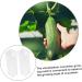 SUPVOX Cucumber Shaping Molds 2pcs Kit Stereotypes Snow DIY Forming for Rectangle Former Shaped Supplies Plastic Growing - Buy Online on SooperMarket.com