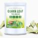 Guava Leaf Fruit Tea Bags - Natural Herbal Tea (30 count) - Buy Online on SooperMarket.com