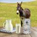 Oselak Donkey Milk Powder 200g Pure and 100% Natural High in Calcium Iron and Vitamin D Similar to Human Breast Milk Rich in Whey Protein Vitamins and Minerals Nothing Added Nothing Removed - Buy Online on SooperMarket.com