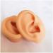 Simulation Ear Template - Flexible Silicone Silicone Ear Model for Acupuncture Picking Ear Picking Soft Props Earrings Right - Buy Online on SooperMarket.com