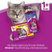 Whiskas Dry Adult 1 + with Chicken 1 9 Kg - Buy Online on SooperMarket.com