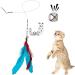 JIARON Cat Toys | 2PCS Retractable Wand and 10PCS Bell Refills | Interactive Teaser for Kitten or Cats - Buy Online on SooperMarket.com