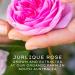 Jurlique Hydrating Mist Rosewater 3.3 oz - Nourishing Facial Spray - Buy Online on SooperMarket.com