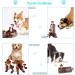 IFOYO Squeak Dog Toy - Durable Squirrel Hide and Seek Puzzle Plush Toy for Small/Medium Dogs - Buy Online on SooperMarket.com