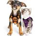 Breakproof Cat Leash Set & Adjustable Soft Kitten Vest - Reflective Stripes | Orange Small Dishes for Kittens - Buy Online on SooperMarket.com