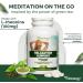 Vitanergy L-Theanine Mental Focus & Calmness - Promote Stress Anxiety Relief Relaxation and Sleep Aid - 100mg Chewable Tablets 60ct Tropical Flavor- Made in Canada - Buy Online on SooperMarket.com
