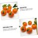 Alipis 5pcs Orange Model Artificial Fruit Mini Decor Light House Decorations for Home Trendy Decor Lifelike Orange Decorations Lifelike Fruit High Simulation Toy Child Foam - Buy Online on SooperMarket.com