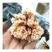 Rare Natural Raw Quartz Crystal Cluster Stones Crystal Point Specimen Home Decoration Raw Crystals Beautiful Gift (Size : 40-70g)