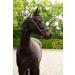 Buy PresTeq FaySport Snaffle Bridle - Brown Pony | Premium Quality Equestrian Gear | Worldwide Shipping - Buy Online on SooperMarket.com