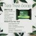 Dr. C. Tuna Tea Tree Soap - Soothes Dry, Irritated Skin - Hydrating Face & Body Soap - Pack of 3 (12.3 oz) - Buy Online on SooperMarket.com