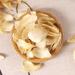 cn herb 250g Bulk Hunan Longshan Lilies Are Dry and Full In Color Clean and Fresh - Buy Online on SooperMarket.com