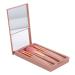 Makeup Brush Set Portable Lightweight Cosmetic Brush Skin Friendly Soft for Beginner Professional