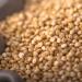 Buy Organic Quinoa | sssundclever.de | 1.8 kg | Untreated | Plastic-Free & Eco-Friendly Packaging - Buy Online on SooperMarket.com