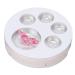 Empty Eyeshadow Makeup Palette - 5pcs Round Metal Pans | DIY Eye Shadow Container for Blush & Brow Powder - International Shipping Available - Buy Online on SooperMarket.com