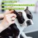 Traumapet 2x Ear Drops Colloidal Silver for Dogs & Cats - 2x 50ml Ear Cleaner Benefit Pack - Buy Online on SooperMarket.com