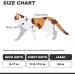 VKPETFR Cat Harness and Leash Set Escape Proof for Walking Adjustable Cute Kitten Harness Leash with Airtag Holder for Small Large Cats Lightweight Soft Walking Travel Harness (Black) - Buy Online on SooperMarket.com