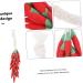 KOMBIUDA Simulation Chili Props Chili Skewers Models Vegetables Toy Peppers Layout Scene Decor Home Decor Decorations Artificial - Buy Online on SooperMarket.com