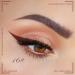 Dark Brown Coffee Liquid Eyeliner Set - Waterproof Colored Eye Liners for Women - Stamps Shapes, 2Pcs - Delineadores de Colores para Ojos - Long-Lasting Formula - Pack of 1 - Buy Online on SooperMarket.com